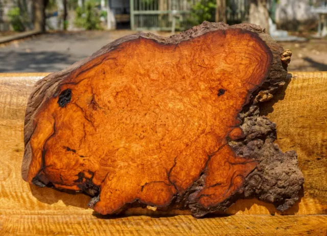 Mesa de madera de oro AMBYNA BURL MADERA Hágalo usted mismo Mesa de madera Borde vivo Resina epoxi