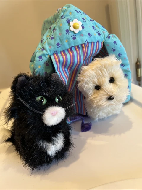 Licorice american girl online cat