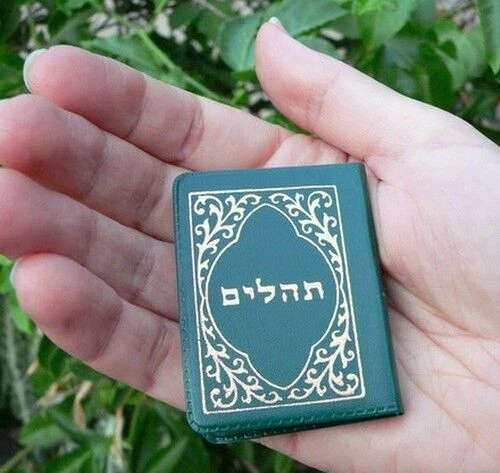 2" Jewish Hebrew PSALMS Book,Tehilim Tehillim Bible Hymns Kabbalah Judaica Charm