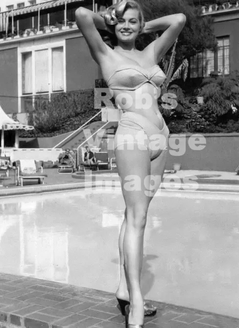 Jayne Mansfield BULLET BRA MAMA photo 3 Retro 1940 1950's Sweater Gal  8.5x8.5
