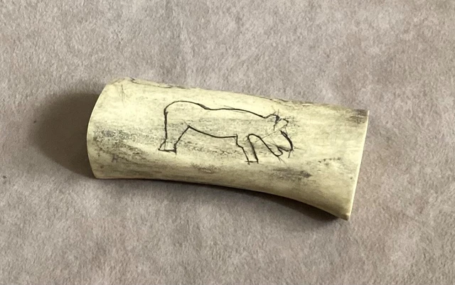 Bone Scrimshaw drawings two sided w/animals not vintage