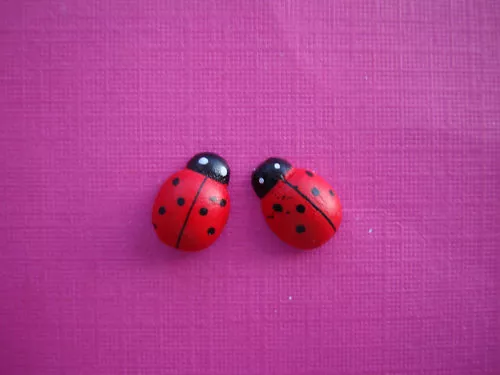 Funky Mini Red Ladybird Earrings Kitsch Cute Retro Sweet Lady Bug Girls Gift Emo