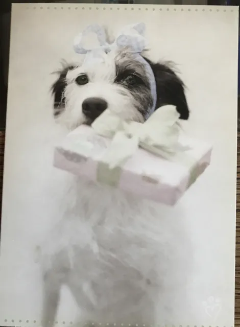 Birthday Greeting Card , Cute Dog With Present On Cover