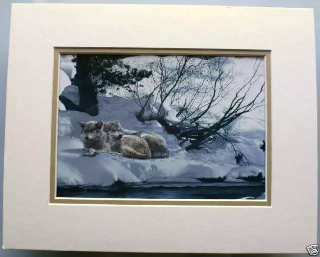 The Good Place by Terry Isaac Winter Wolf Wolves Print