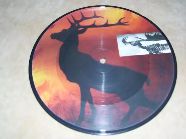 STALINGRAD Politics of Ecstasy 7 Picture Disc KBD Punk Armed with Anger 45 rpm