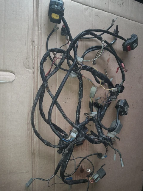 ITALJET FORMULA 50 Wiring Loom Harness Regulator Switches Cdi Coil £43.
