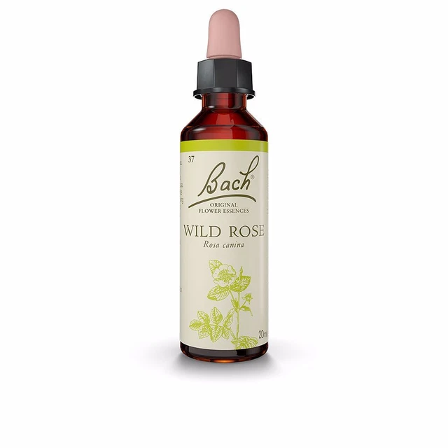 Ernährung Bach unisex FLORES DE BACH rosa silvestre 20 ml