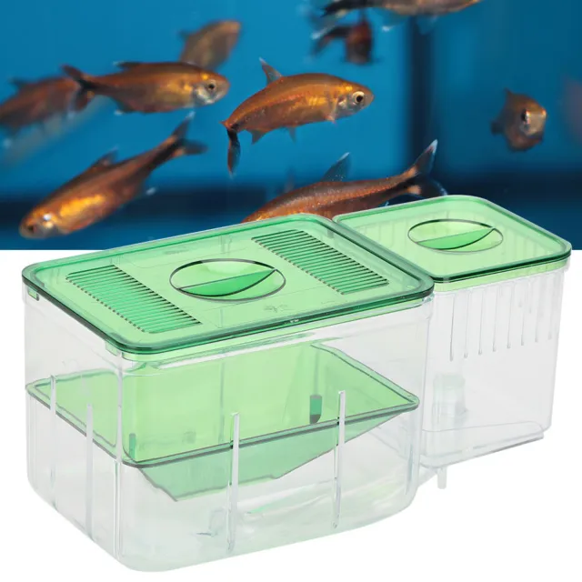 Breeding Aquarium Fish Tank Guppy Hatchery Breeder Incubator Isolation Box New