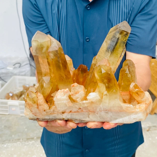 4.06LB Natural Citrine cluster mineral specimen quartz crystal healing.