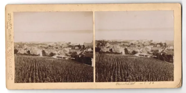 Stereo-Fotografie Robert Logle, Ansicht Neuchatel, Blick über die Felder nach d