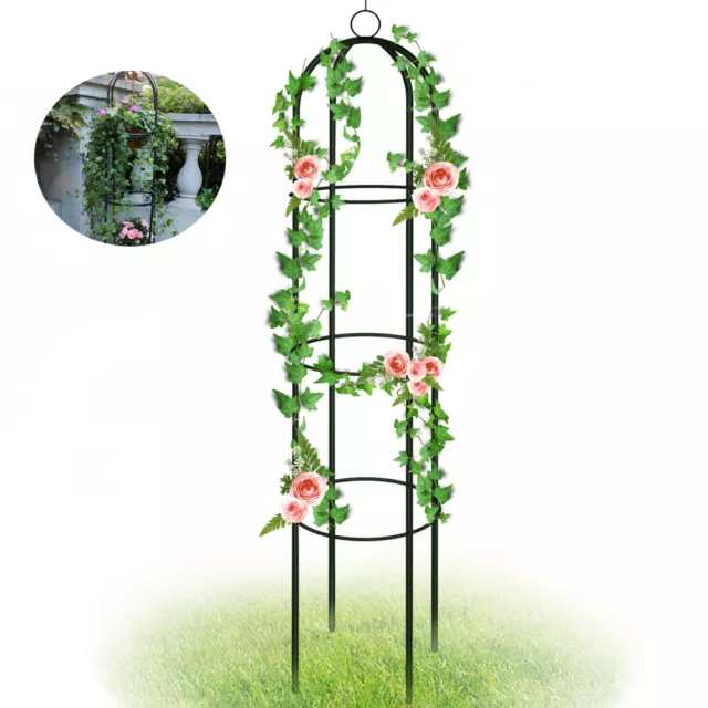 Arc Rose Support pour Plantes Grimpantes Montée Pergola 188cm Métal Rosenspalier 2