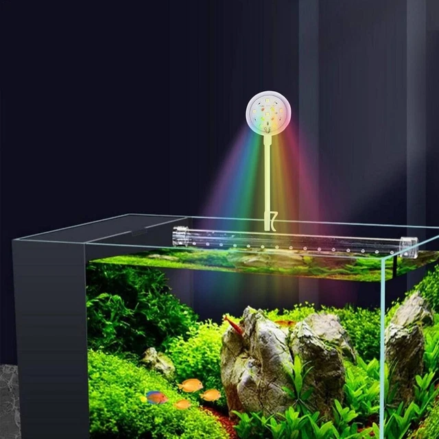 Aquarium clearance lighting uk