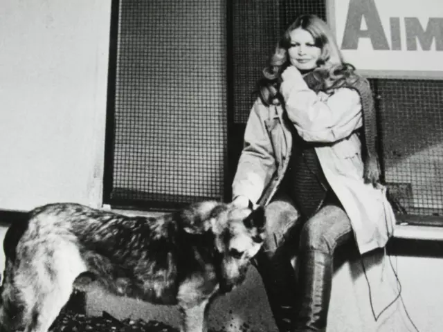 Brigitte Bardot (Schauspielerin) mit Schäferhund - Promo Press Photo Foto