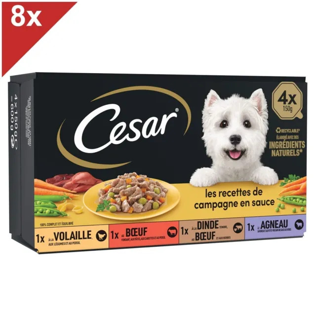 CESAR 32 Barquettes en sauce 4 variétés pour chien 150g (8x4)