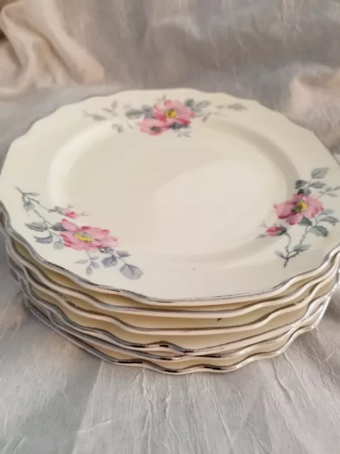 WS George Lido Canarytone USA Pink Flowers Gray Leaves 6  Plates - Dessert