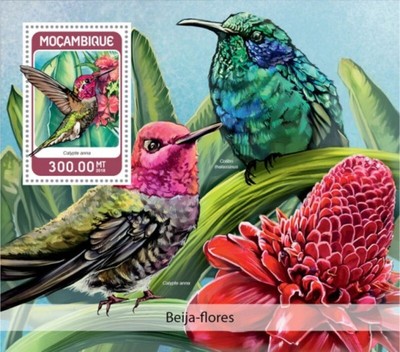 MOZ18320b Francobollo Souvenir Foglio Mozambico 2018 Colibri Uccelli 