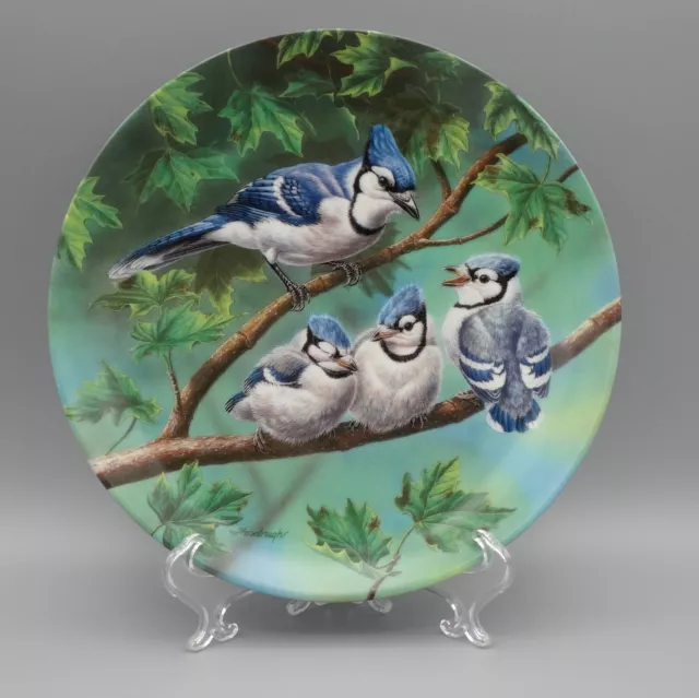 Edwin M Knowles Backyard Harmony Collector Bird Plate Welcoming New Day Blue Jay