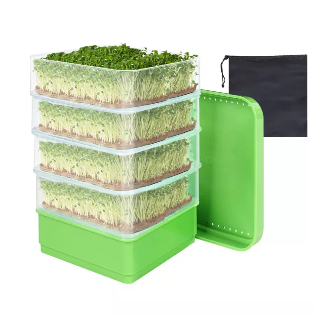 Sprouter Seed Tray with Lid Bean Sprout Grower Sprouting Seeds Tray