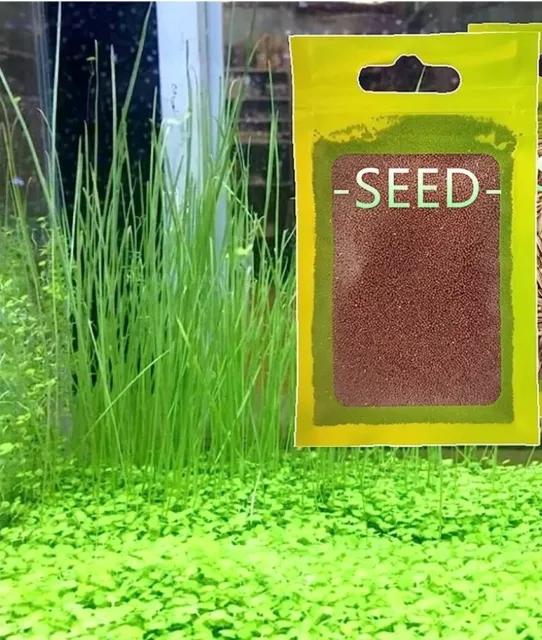 3 Pack Live Aquarium Plant Seeds, Fresh Water Fish Tank Carpet Grass Plants Mini