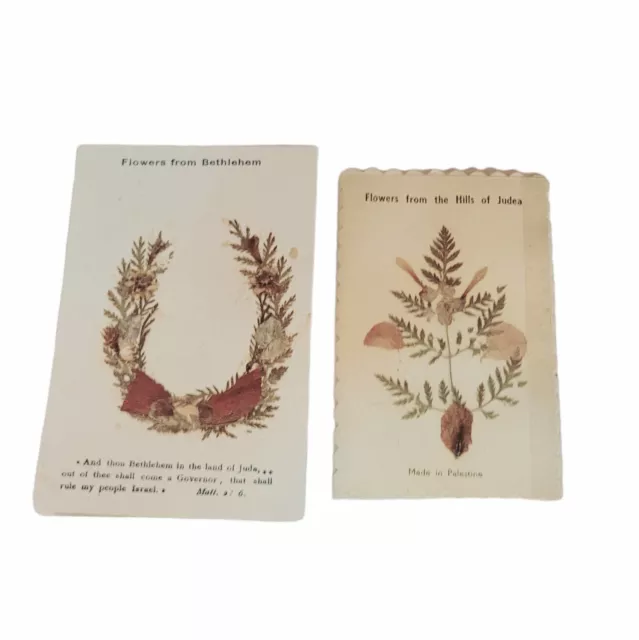 Vintage Set of 2 Cards Attached Flowers From Judea Bethlehem Holy Land Ephemera