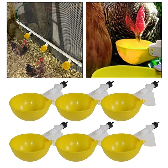 6 Pezzi Tazze d'Acqua per Pollo Abbeveratoio Automatico per Pollo per