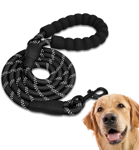 EDIPETS, Laisse Chien, Laisse de Dressage pour Chien, Rembourrée, Poignée Souple