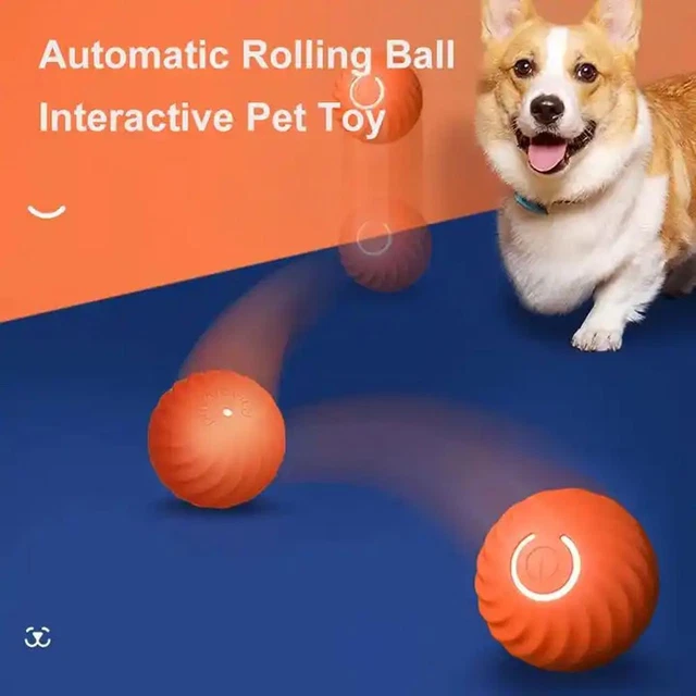 Roller ball hot sale dog toy