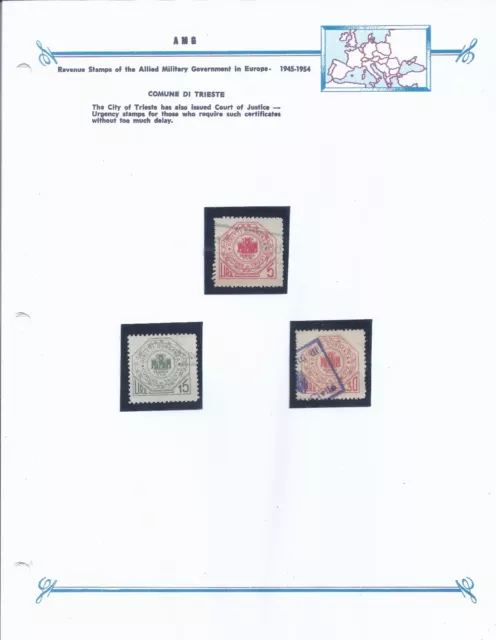 AMG FTT Italy Trieste Municipal Revenues # 4