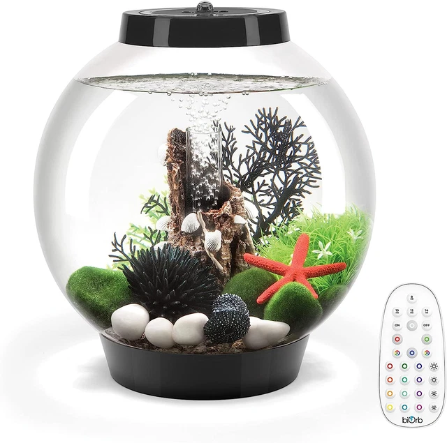 Classic 15 Aquarium with MCR Light - 4 Gallon, Black