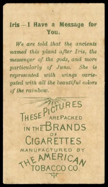 American Tobacco Co. - 'Flowers Inset on Beauties' #9 - Iris (1900) 2