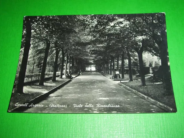 Cartolina Castell' Arquato ( Piacenza ) - Viale della Rimembranza 1956