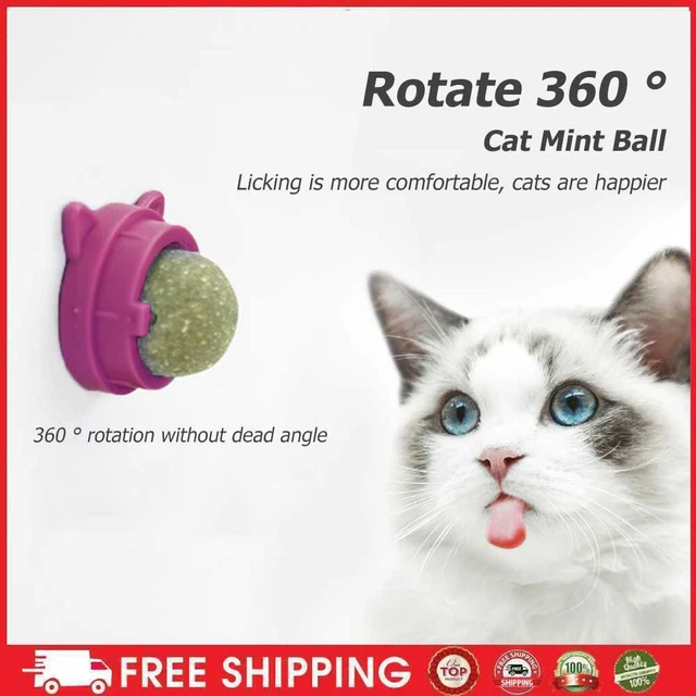 Palla di menta gatto rotante, palline naturali per gatti, menta molare -