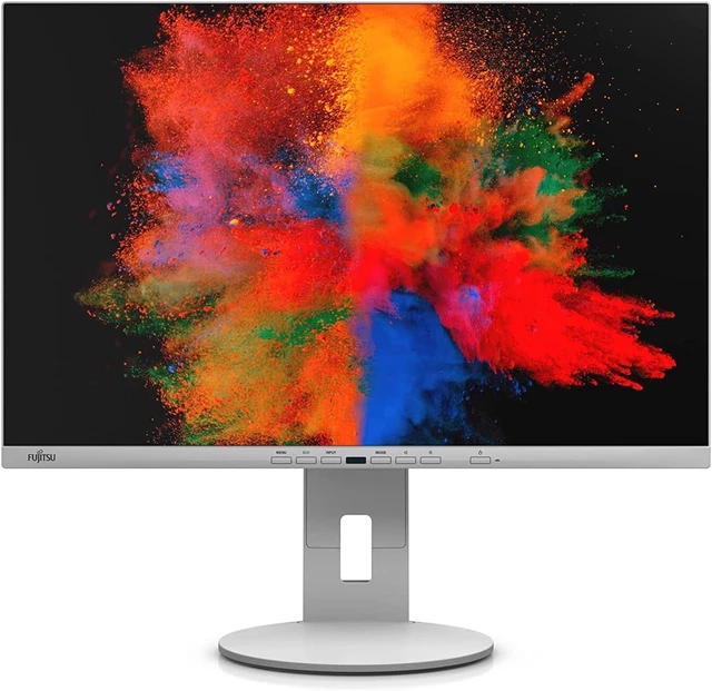 Fujitsu Displays Monitor B2410 WE 61,2 cm (24.1 Zoll) 1920 x 1200 Pixel WUXGA LE
