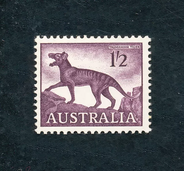 AUSTRALIE - FAUNE Animaux sauvages Thylacine - 1959/62