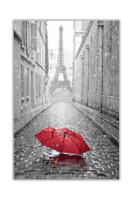 Paris Eiffel Tower the Champ!Photo and Print Canvas Collectors