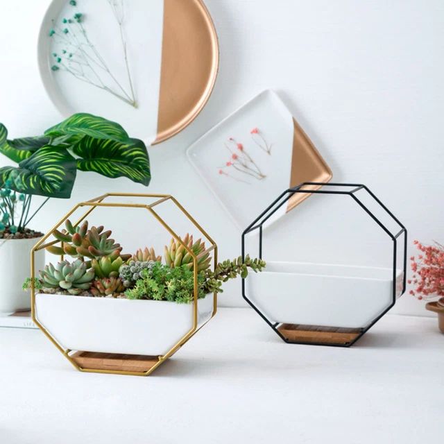 Octagonal Geometric Storage Rack Hanging Wall Glass 5