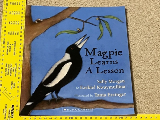 MAGPIE LEARNS A Lesson Paperback Sally Morgan $20.00 - PicClick AU