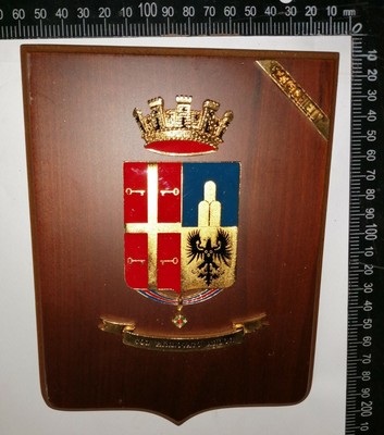 CREST FANTERIA 123° REGGIMENTO ADDESTRATIVO VOLONTARI CHIETI RAV EX CAR RARITÀ!! 