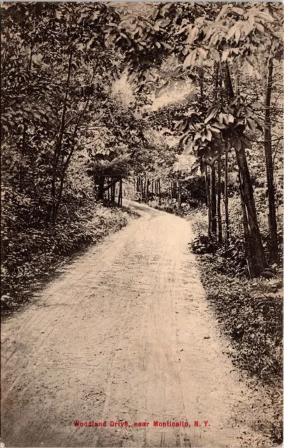 Woodland Drive Monticello New York Scenic Roadway Forest Trees BW Postcard