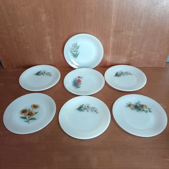 Assiettes Arcopal collection Octime