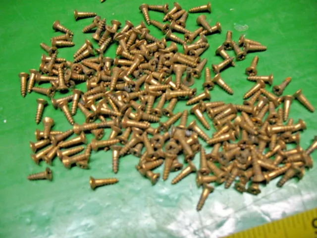 Vintage Nos Brass  Plated  Steel Wood Screws 3/8'' Oval Head Phillips (200 +)