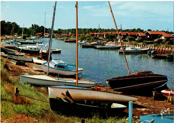 Cpa 31 Carte Photo Pugnac Par Bourg Sur Gironde L.renaud Menuisier