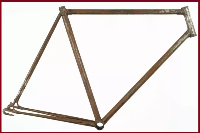 brev campagnolo frame