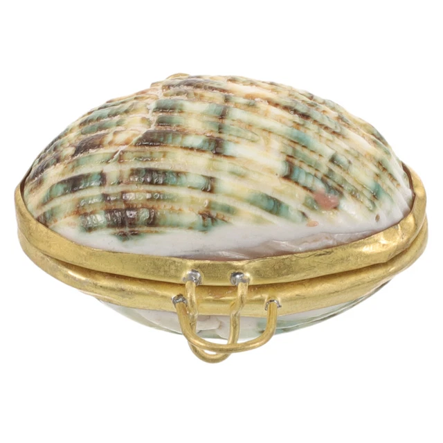 Boîte À Bijoux En Coquillage 6 Cm En Coquillage Naturel À Bijoux Étui