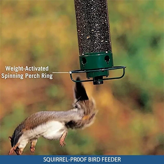 Piques Anti-Oiseaux Et Écureuils Acier Inoxydable Longueur 3cm Lot Avec Attaches Et Vis Pour Mangeoires Toits Balcons