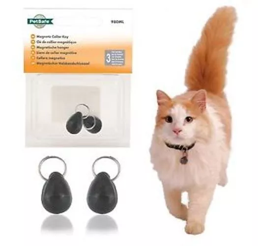 Petsafe Magnetic Collar Key Magnet And Collar  And Id Tags