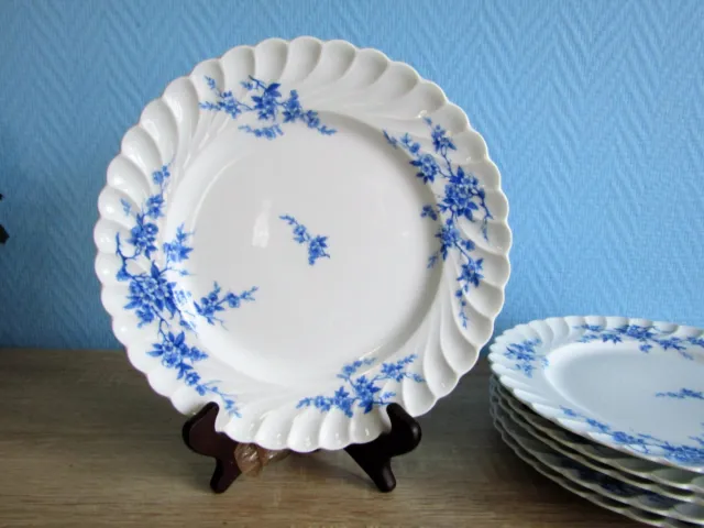 6 assiettes plates en porcelaine de limoges HAVILAND torse cerisier fleurs bleu