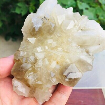 294g Natural Smokey Citrine Quartz Crystal Cluster Mineral Rough Specimen