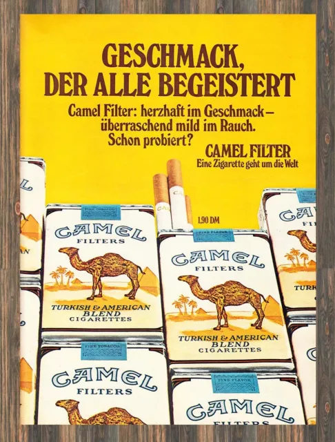 Camel Zigaretten - Reklame Werbeanzeige Original-Werbung 1969 (4)