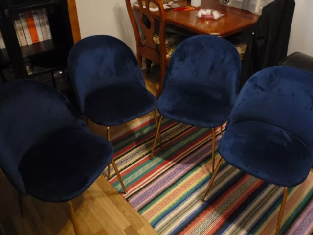 Albany Blue Velvet Dining Chairs, gold legs, quilted backs, set of 4